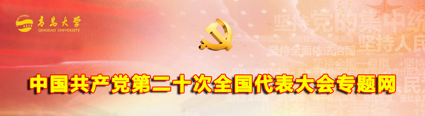 二十大大精神专题